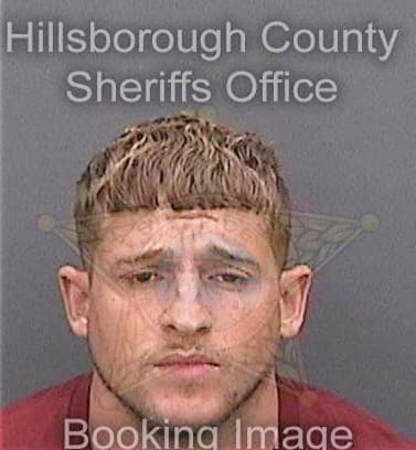 Ravelo Peter - Hillsborough County, FL 