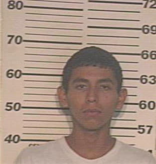 Martinez Daniel - Hidalgo County, TX 