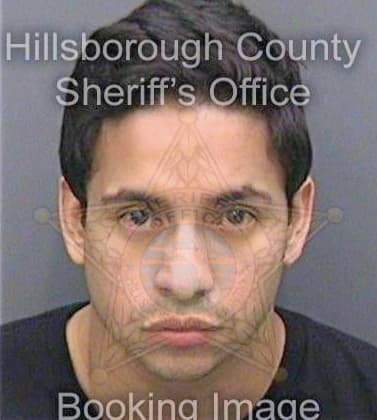 Torrivilla Jonathan - Hillsborough County, FL 