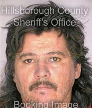 Fonseca Jose - Hillsborough County, FL 