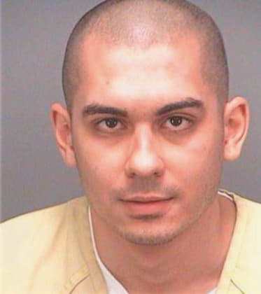 Hoshowski Michael - Pinellas County, FL 