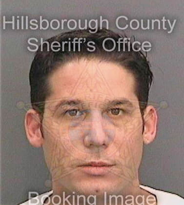 Desequeira Gabriel - Hillsborough County, FL 