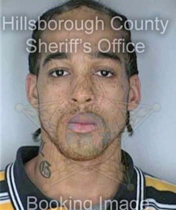 Davis Gregory - Hillsborough County, FL 