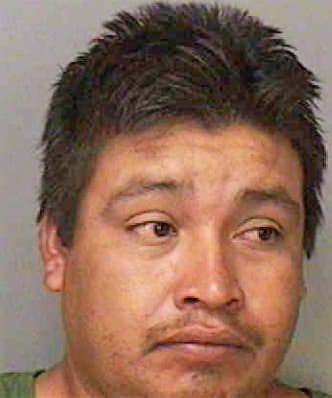 Lara Jacinto - Polk County, FL 