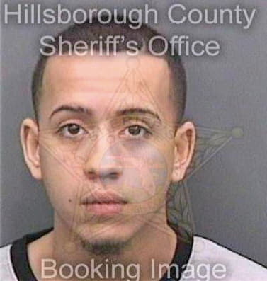 Molina Maurice - Hillsborough County, FL 