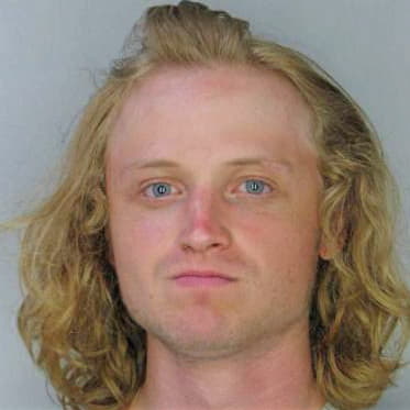 Bass Ryan - Hillsborough County, FL 