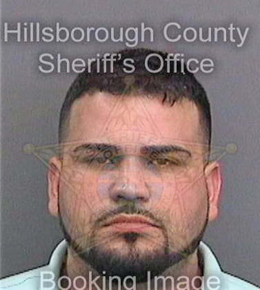 Vilar Carlos - Hillsborough County, FL 