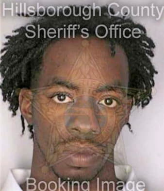 Dixon Devon - Hillsborough County, FL 