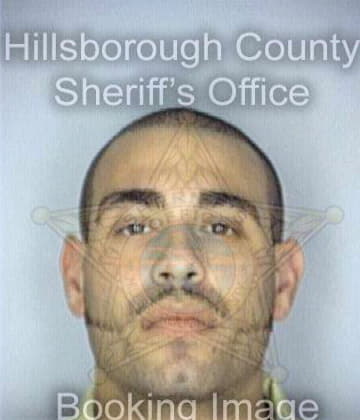 Julius Erik - Hillsborough County, FL 