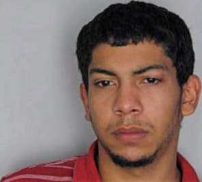 Ortiz Julio - Hillsborough County, FL 