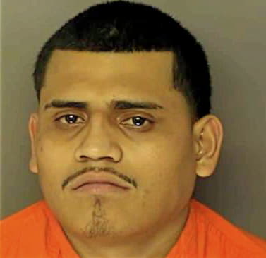 Rivera-Barahona Darlyn - Horry County, SC 