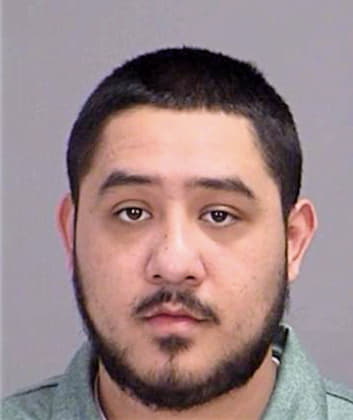 Garza Fernando - Brazos County, TX 
