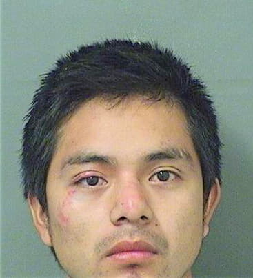 Chaclan Gerardo - PalmBeach County, FL 