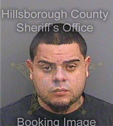 Ventura Hector - Hillsborough County, FL 