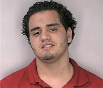 Comacho Henry - Hillsborough County, FL 