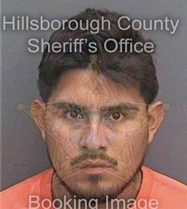 Colincuevas Leonardo - Hillsborough County, FL 