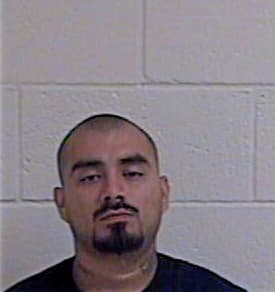 Pineda Gabriel - Hidalgo County, TX 
