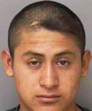 Hernandez Guillermo - Polk County, FL 