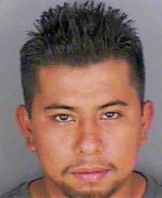 Roblero Rodrigo - Collier County, FL 