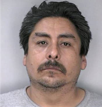 Martinez Sergio - Hillsborough County, FL 