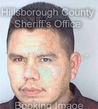 Tovar Francisco - Hillsborough County, FL 