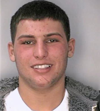 Johnson Shawn - Hillsborough County, FL 