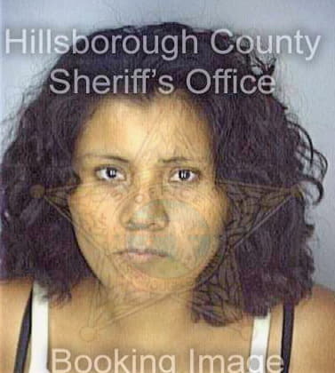 Morales Eloysa - Hillsborough County, FL 