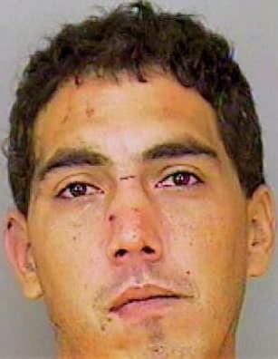 Price Erick - Polk County, FL 