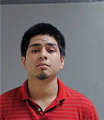 Hernandez Luis - Hidalgo County, TX 