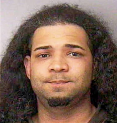 Lopez Luis - Polk County, FL 