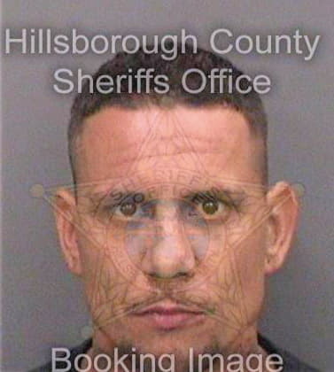 Araoz David - Hillsborough County, FL 