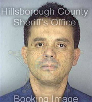 Alvarado Marco - Hillsborough County, FL 