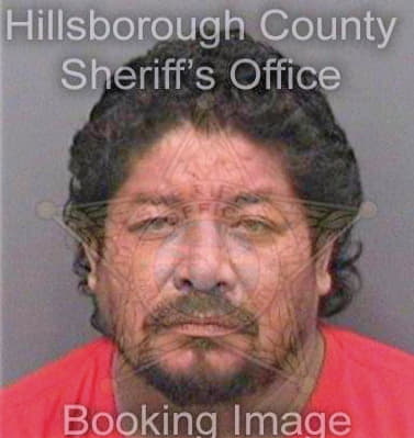 Guapo Jorge - Hillsborough County, FL 