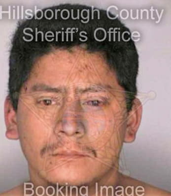 Carloslopez Martin - Hillsborough County, FL 
