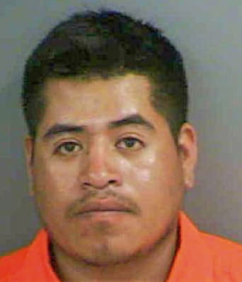 Martinezcastro Ohtoniel - Collier County, FL 