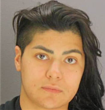 Nino Samantha - Dallas County, TX 