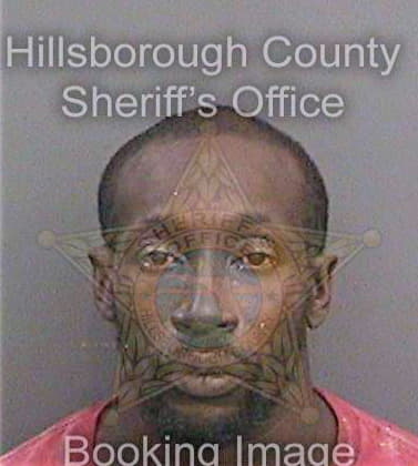 Hall Theodore - Hillsborough County, FL 