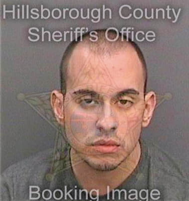 Ramossanchez Adrian - Hillsborough County, FL 