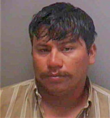 Lucas Julio - Lee County, FL 