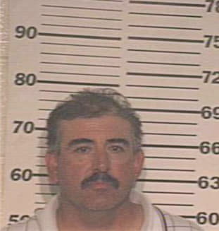 Villarreal Roberto - Hidalgo County, TX 