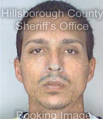 Toldeo Willie - Hillsborough County, FL 