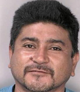 Perezgarcia Antonio - Hillsborough County, FL 