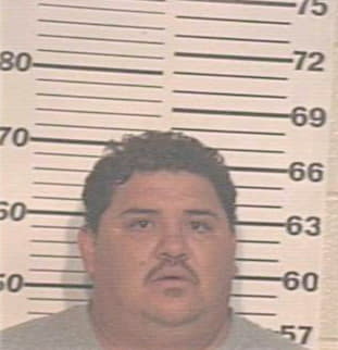 Delatorre Dimas - Hidalgo County, TX 