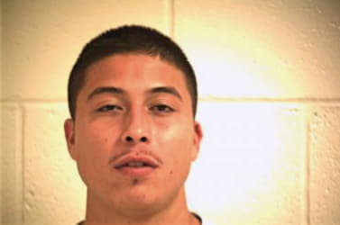 Flores Luis - Hidalgo County, TX 