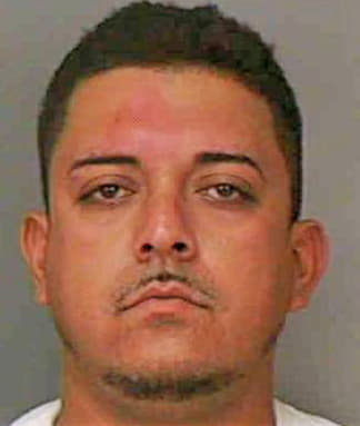 Coyt-Garcia Nicolas - Polk County, FL 