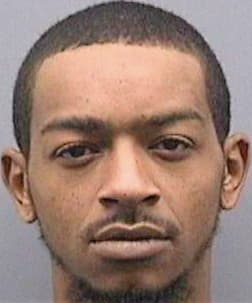 Cherry Devan - Hillsborough County, FL 