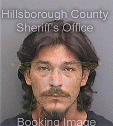 Gonzalez Estevan - Hillsborough County, FL 