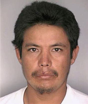 Bustamanteflores Gilberto - Hillsborough County, FL 