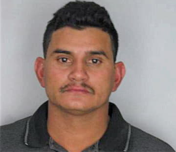 Floresgalo Jose - Hillsborough County, FL 