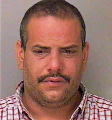 Gonzalez Luis - Polk County, FL 